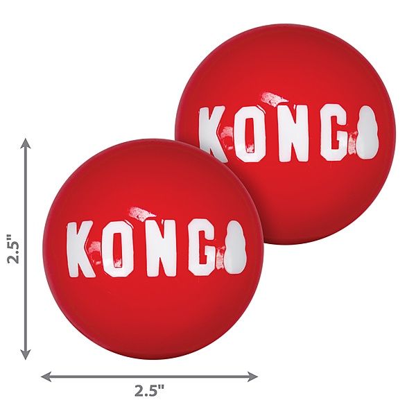 KONG Signature Balls | Squeak Medium 2 pk