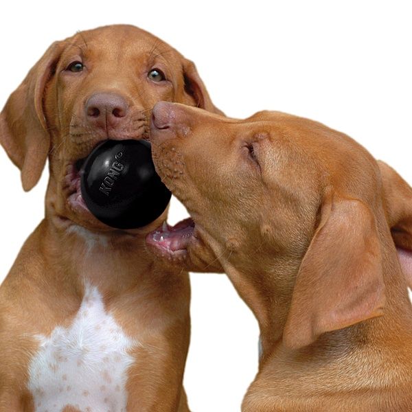 KONG Extreme Ball Dog Toy - Medium/Large: 30-65 Lb Bags