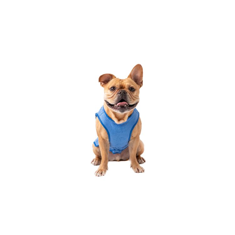 GF PET - ELASTO-FIT ICE VEST - BLUE - SIZE LARGE