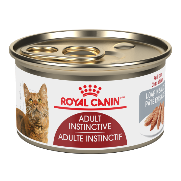 RC FHN Instinctive Adult Loaf 24x85 gm (Case)
