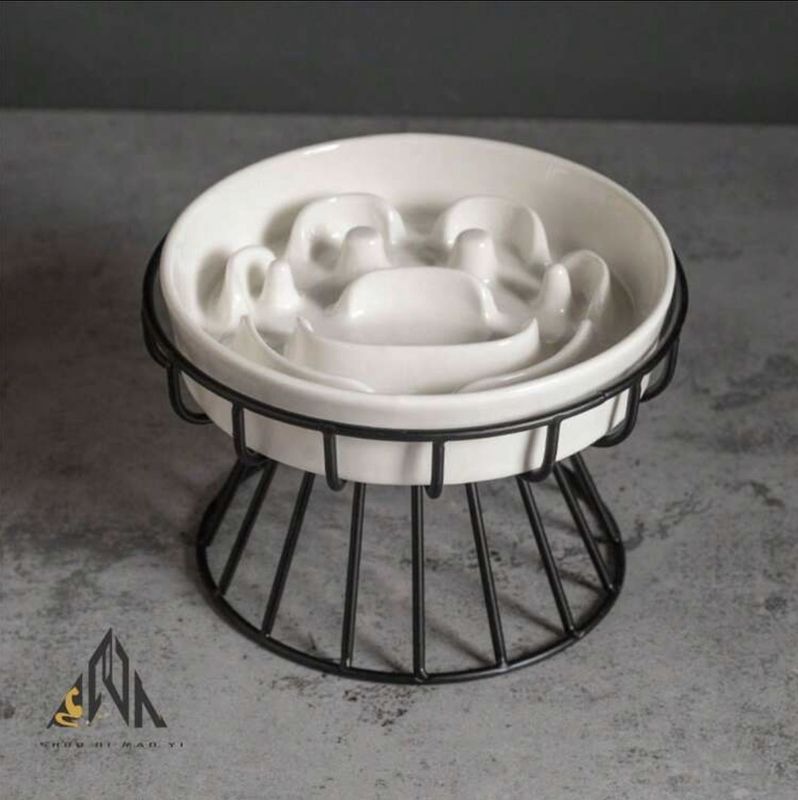 Ceramic Slow Feeder Bowl with Anti-Slip