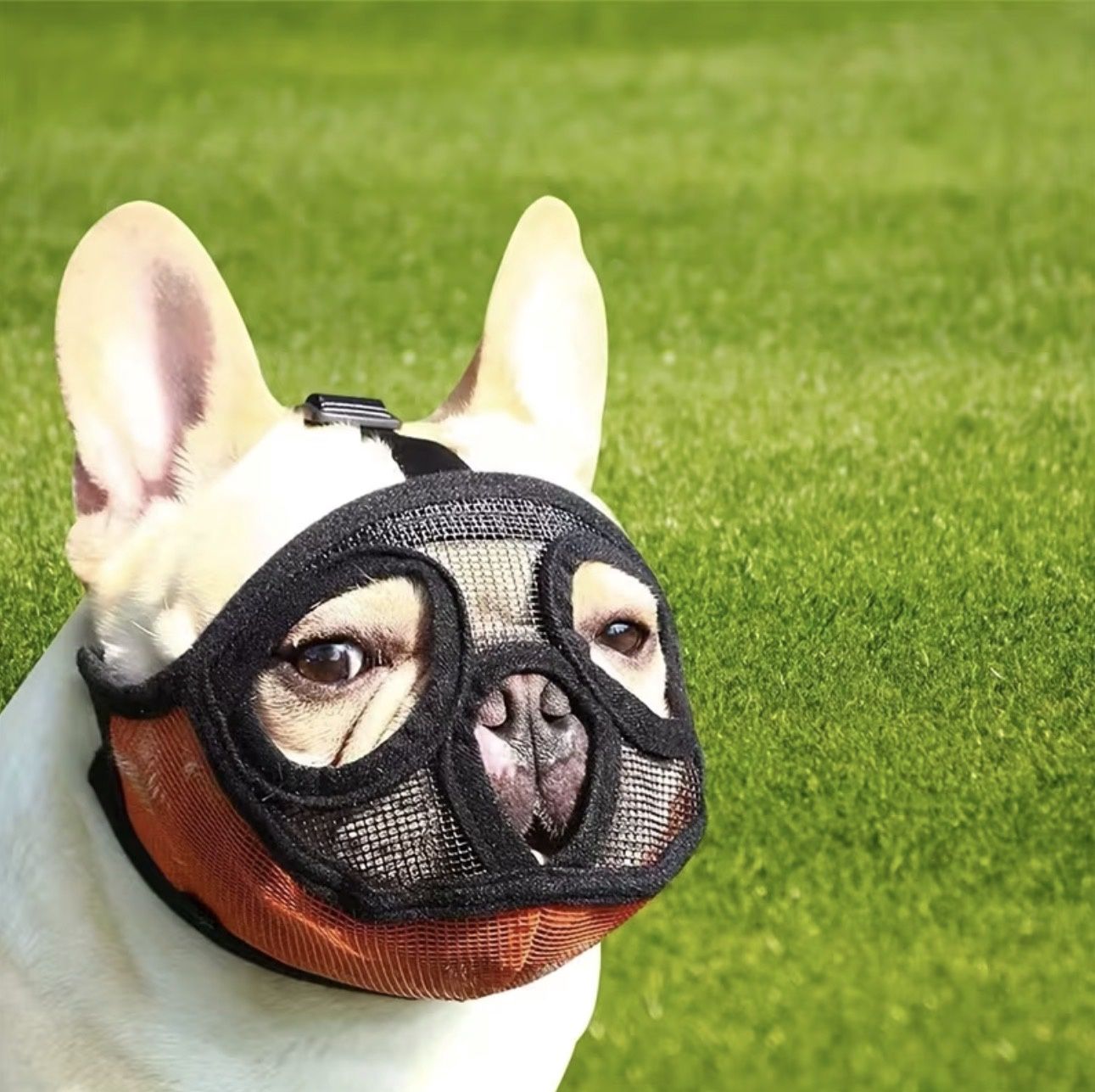 Flexible Dog Breathable Muzzle with Flat Nose