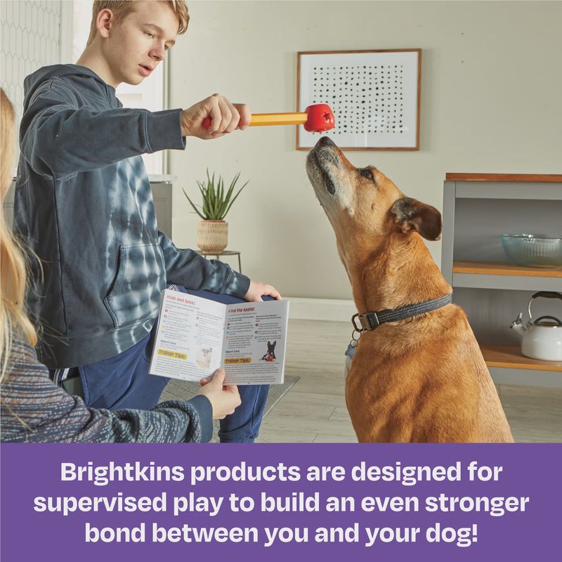 Brightkins Pooch School! Training Set