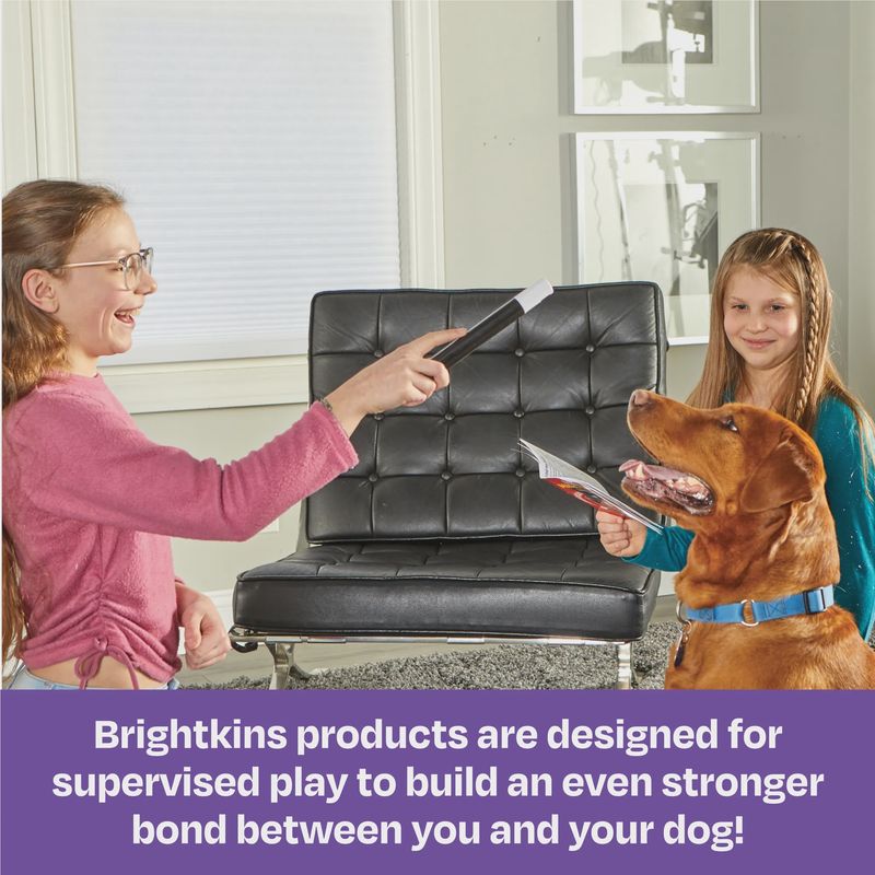 Brightkins Magic Trick! Training Set