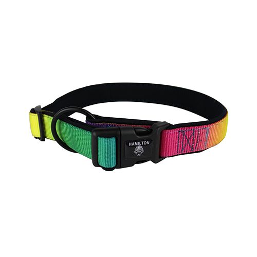 Hamilton Fully Adjustable Dog Collar in Rainbow Style 46-65cm