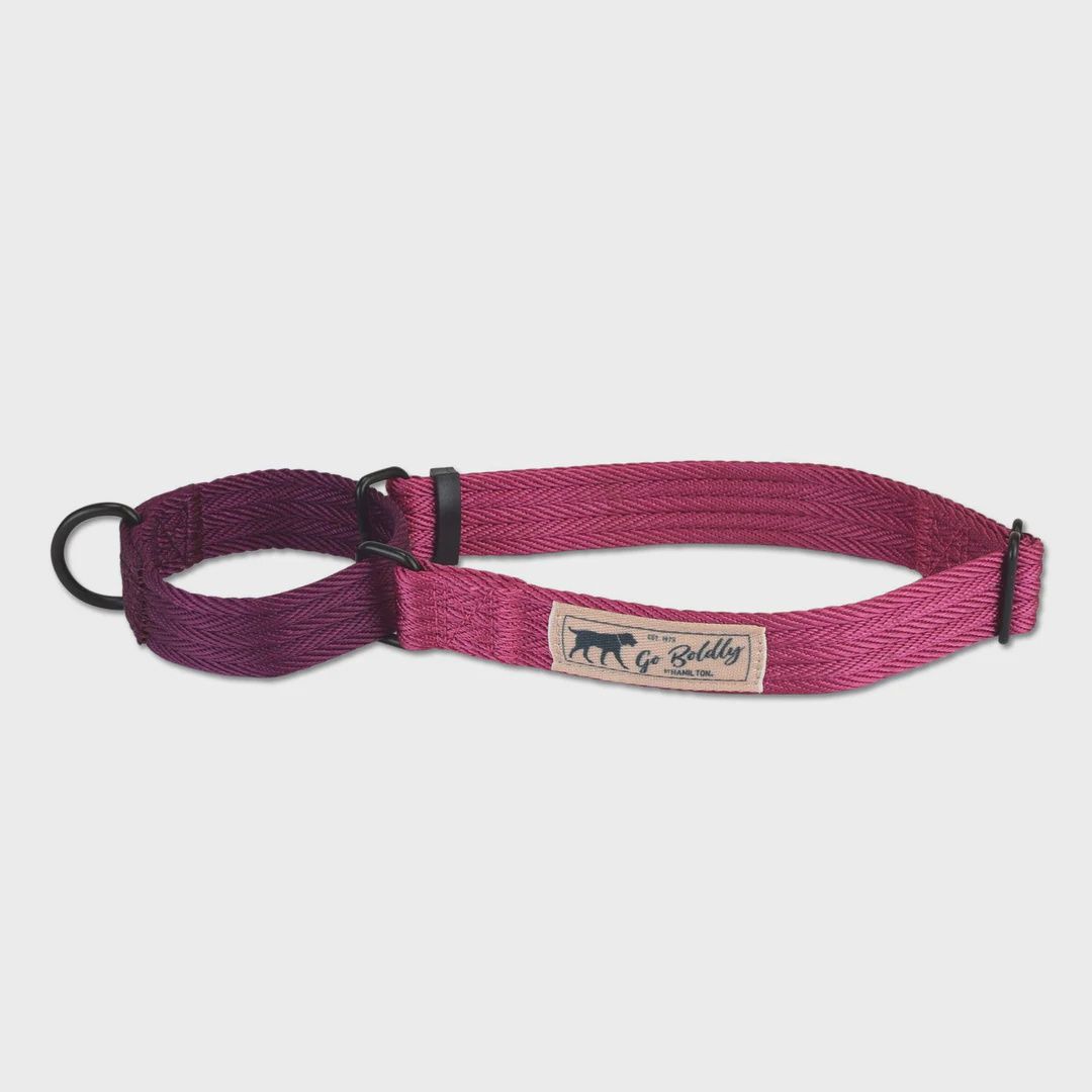 Hamilton Go Boldly Martingale Wild Berry Dog Collar 46-65cm