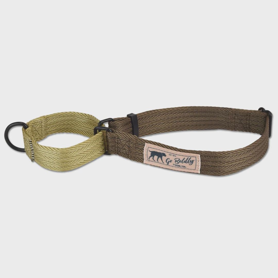 Hamilton Go Boldly Martingale Woodland Dog Collar 31-46cm