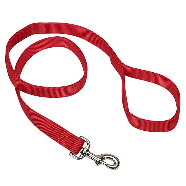 Coastal Pet - Double Nylon Lead Red 6'x1"