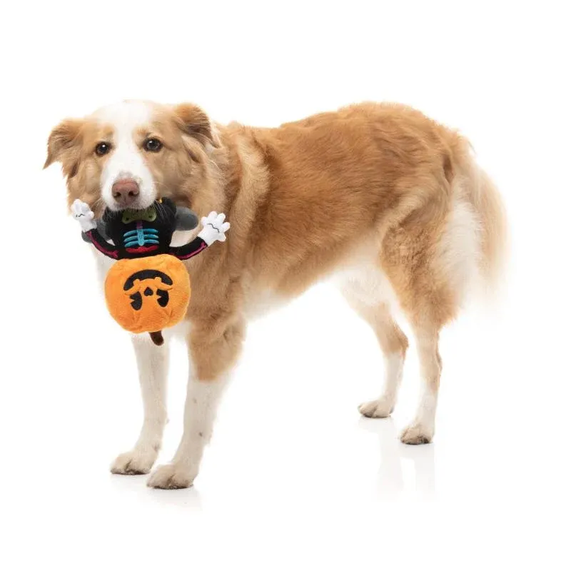 FuzzYard BOO-TERNUT Plush Halloween Dog Toy