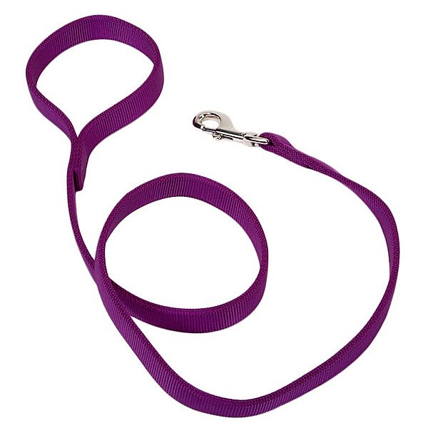 Coastal Pet - Double Nylon Lead Purple 6'x1