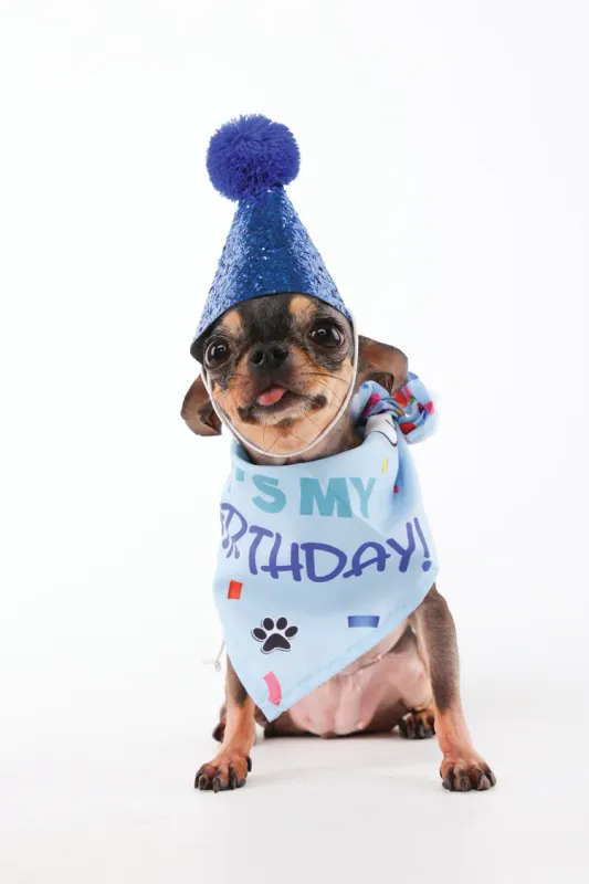 M-Pets PARTY TIME Dog Gentleman's set