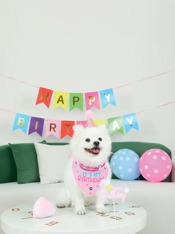 M-Pets PARTY TIME Dog Lady's set