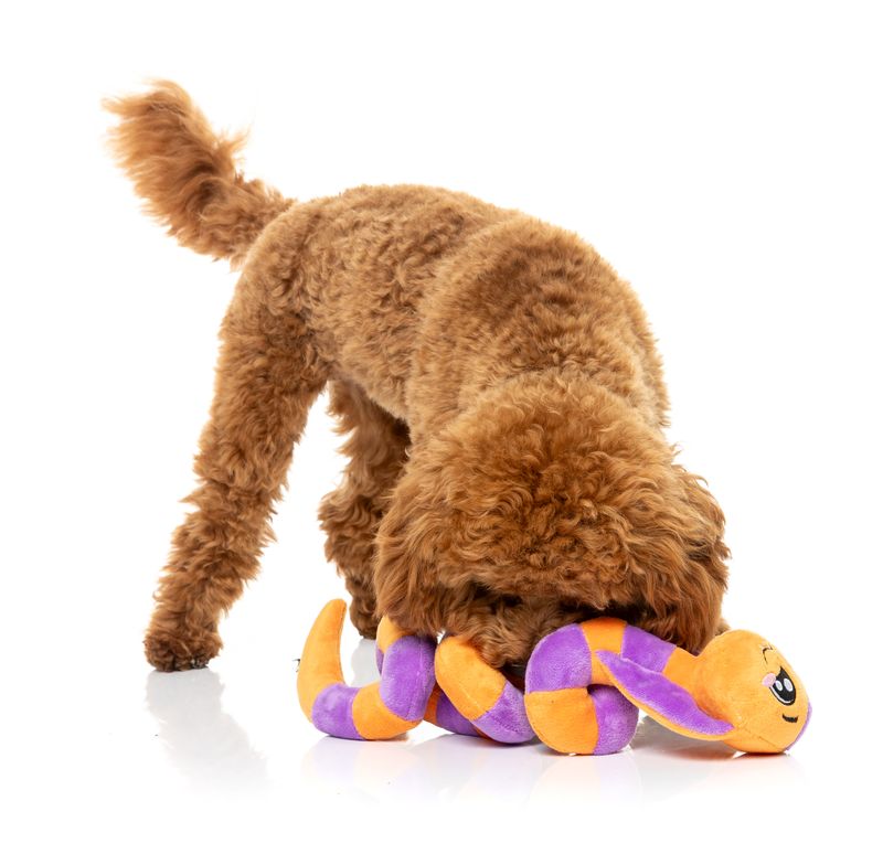 Fuzzyard - SSS-Teven The Snake Halloween Dog Toy