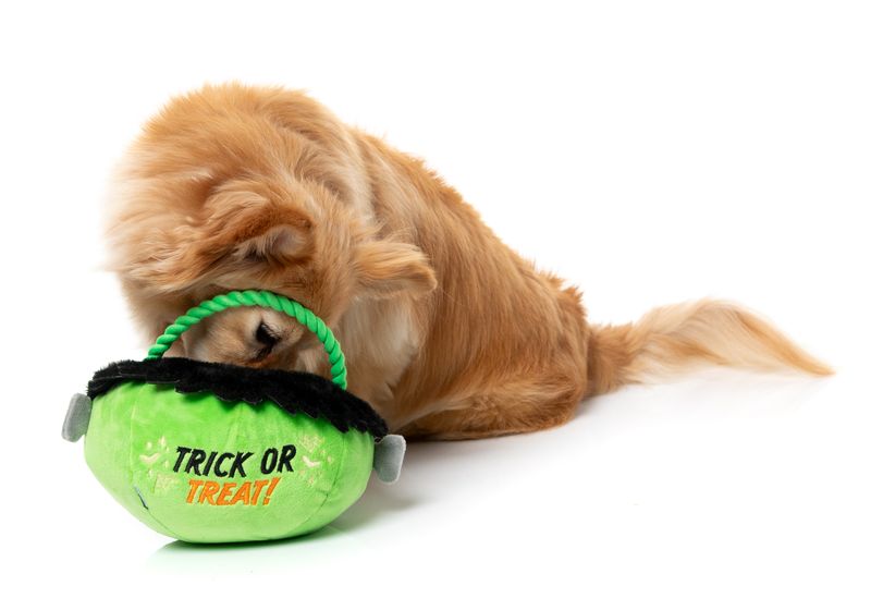 Fuzzyard - Franken Basket Halloween Dog Toy