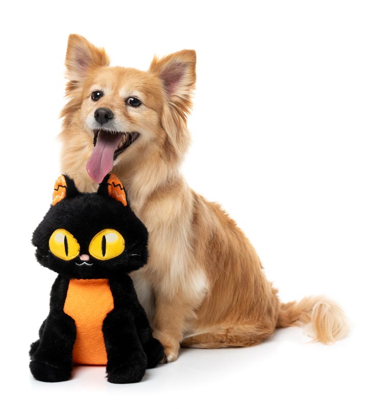Fuzzyard - Purrsephone Meow Halloween Dog Toy