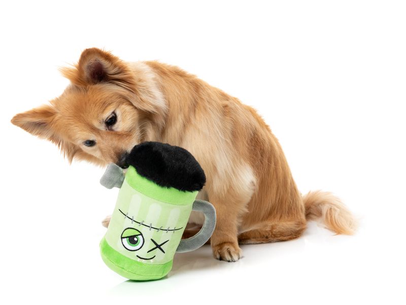 Fuzzyard - Franken-Stein Beer Halloween Dog Toy