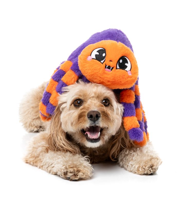 Fuzzyard - Tarantina The Spider Halloween Dog Toy