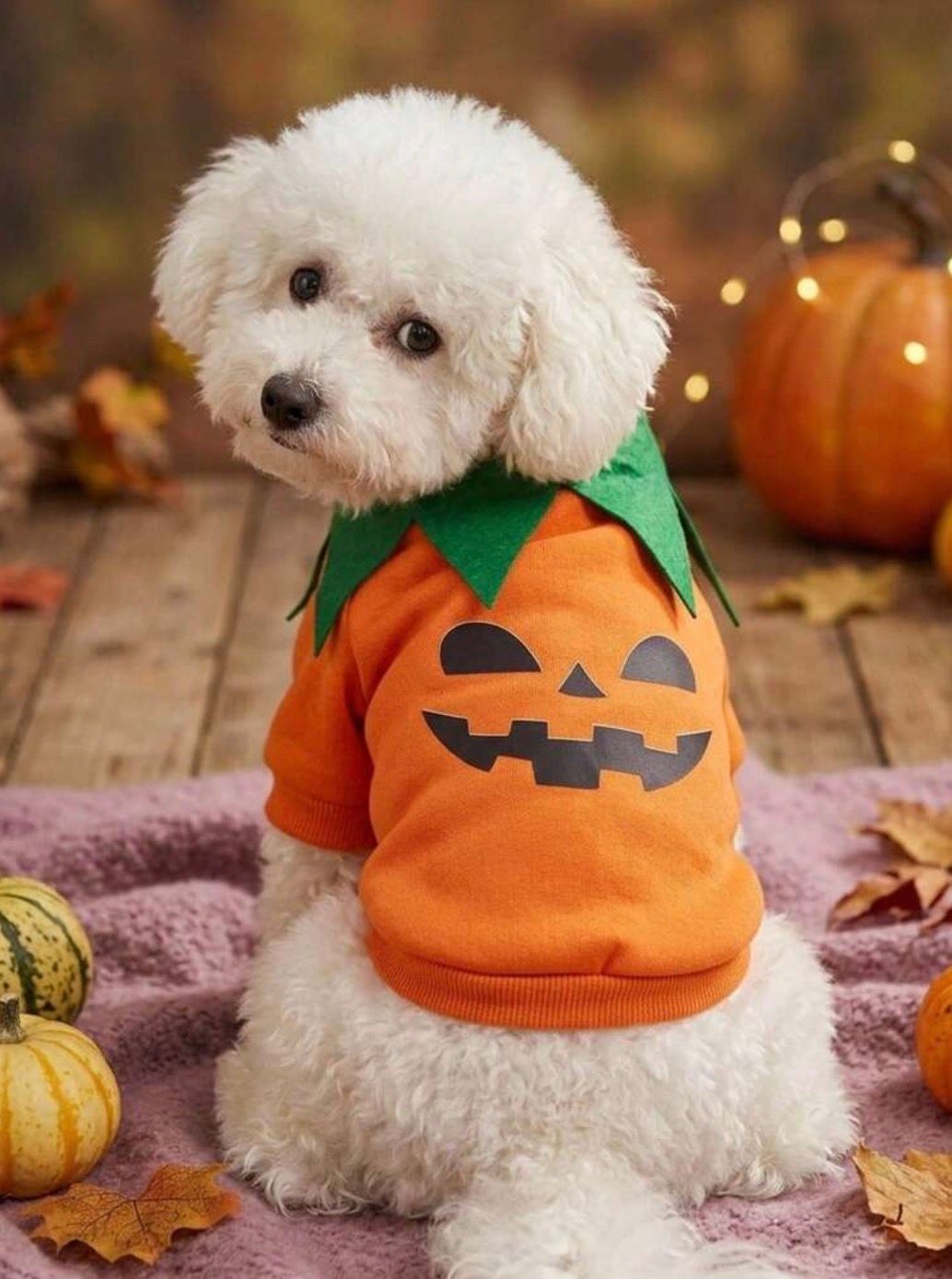 Halloween Sweatshirt Funny Pumpkin Cosplay, Size: L