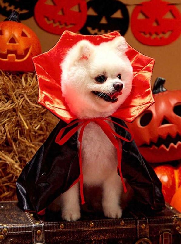 Halloween Red &amp; Black Vampire Cape