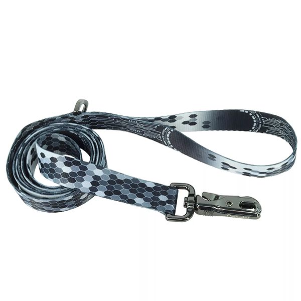 Coastal Pet Product Inspire Dog Leash Digital Matrix Sm/Med 5/8"x6'