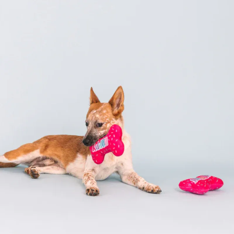 Fringe Studio - Dog Toy - Birthday - Plush - It's My BarkDay Bone