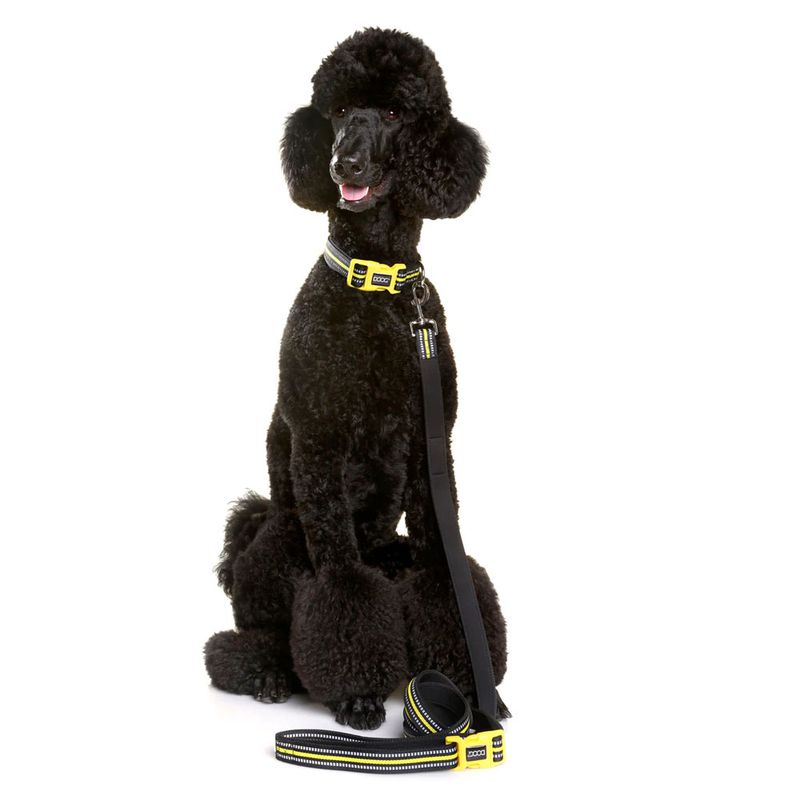 DOOG Neon Dog Collar Yellow - Size Yellow