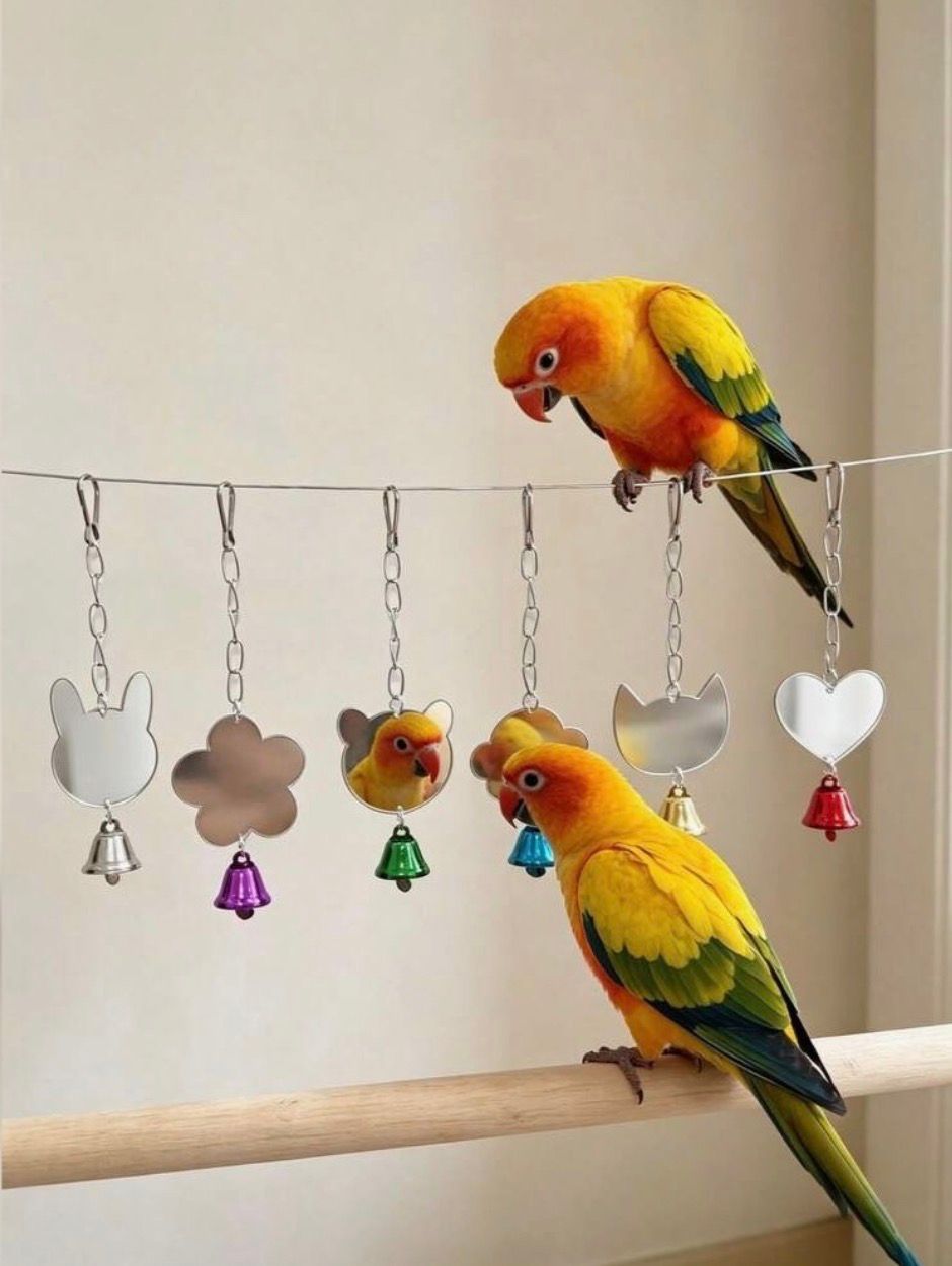 Hanging Bird Mirror with Bell
