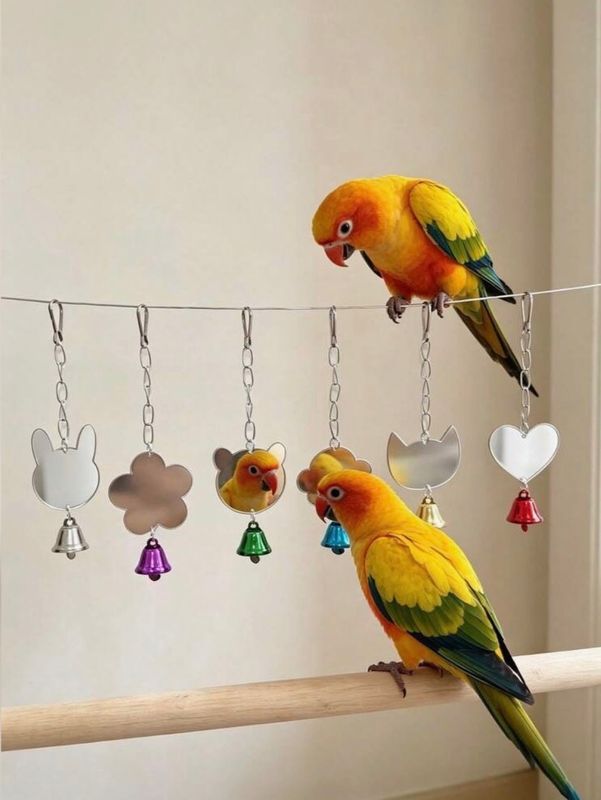 Hanging Bird Mirror with Bell