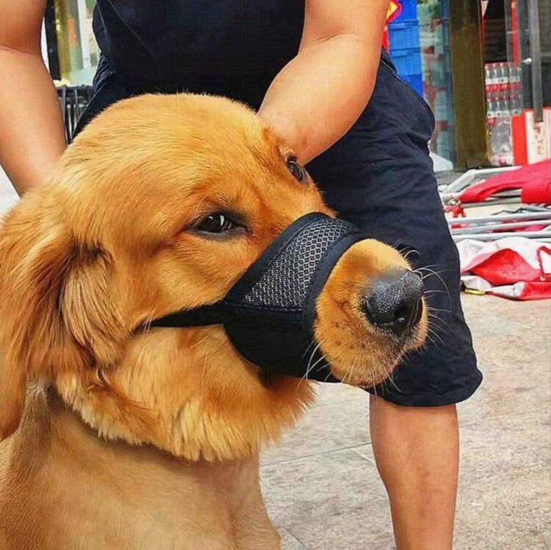 Adjustable Breathable Anti-Bite Dog Muzzle