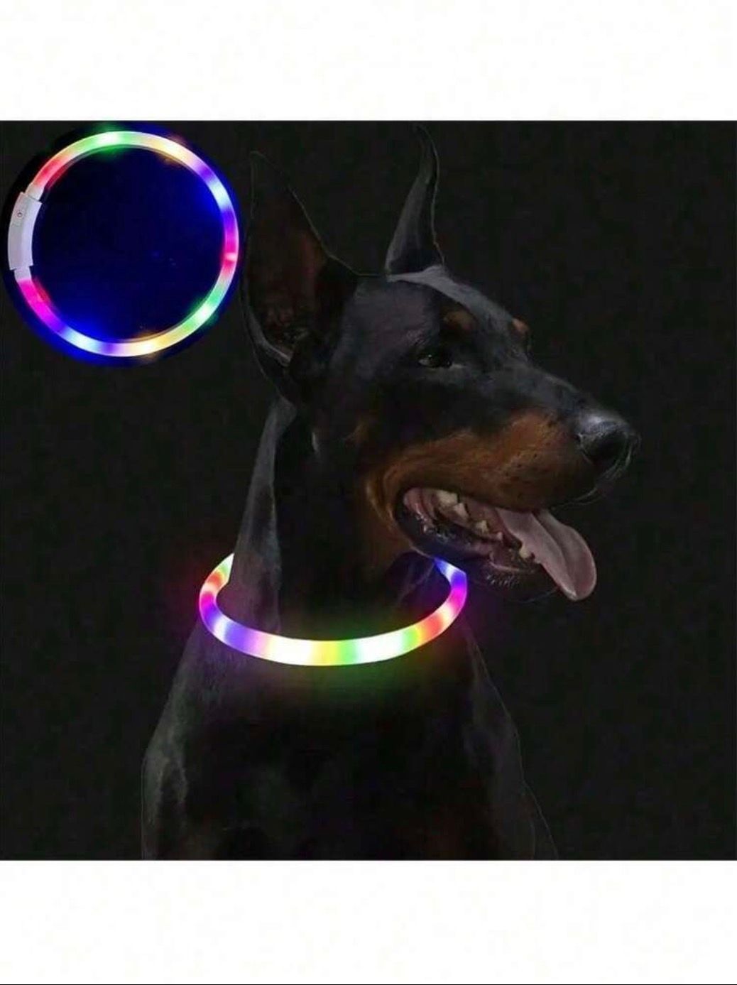 Rechargeable Luminous Pet Collar- 4 Lighting Modes &amp; Can be Cut to Fit