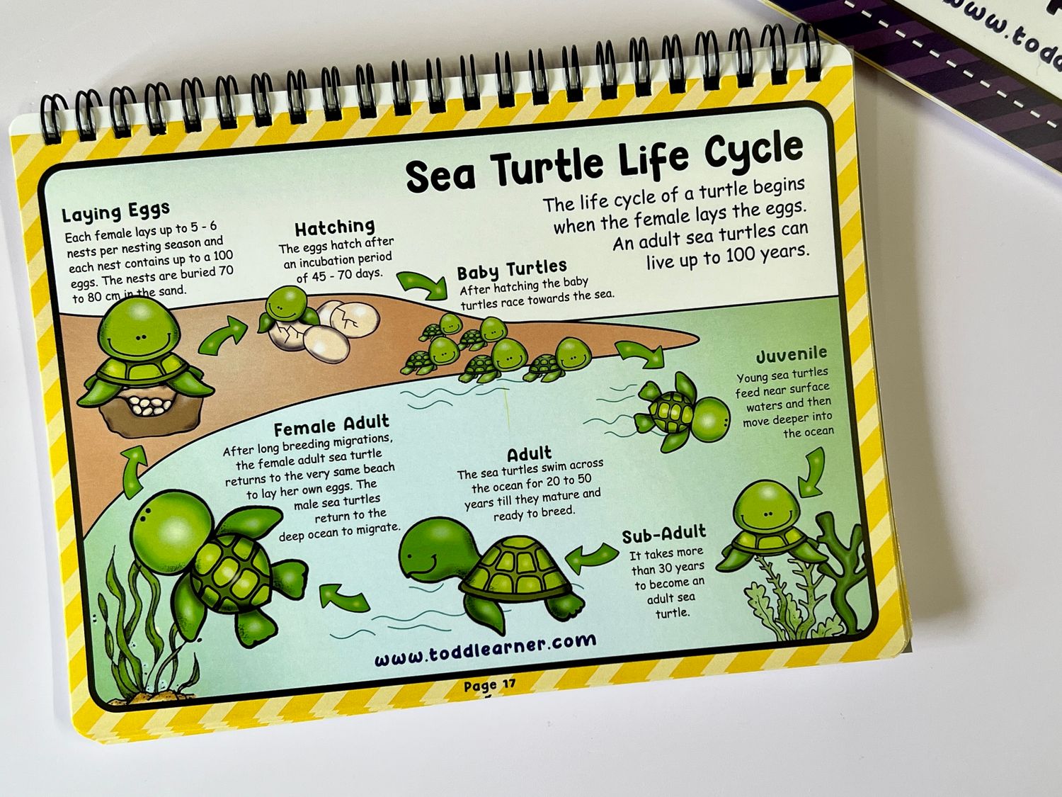 Learning Life Science Part 1 andf Part 2 Bundle for Children