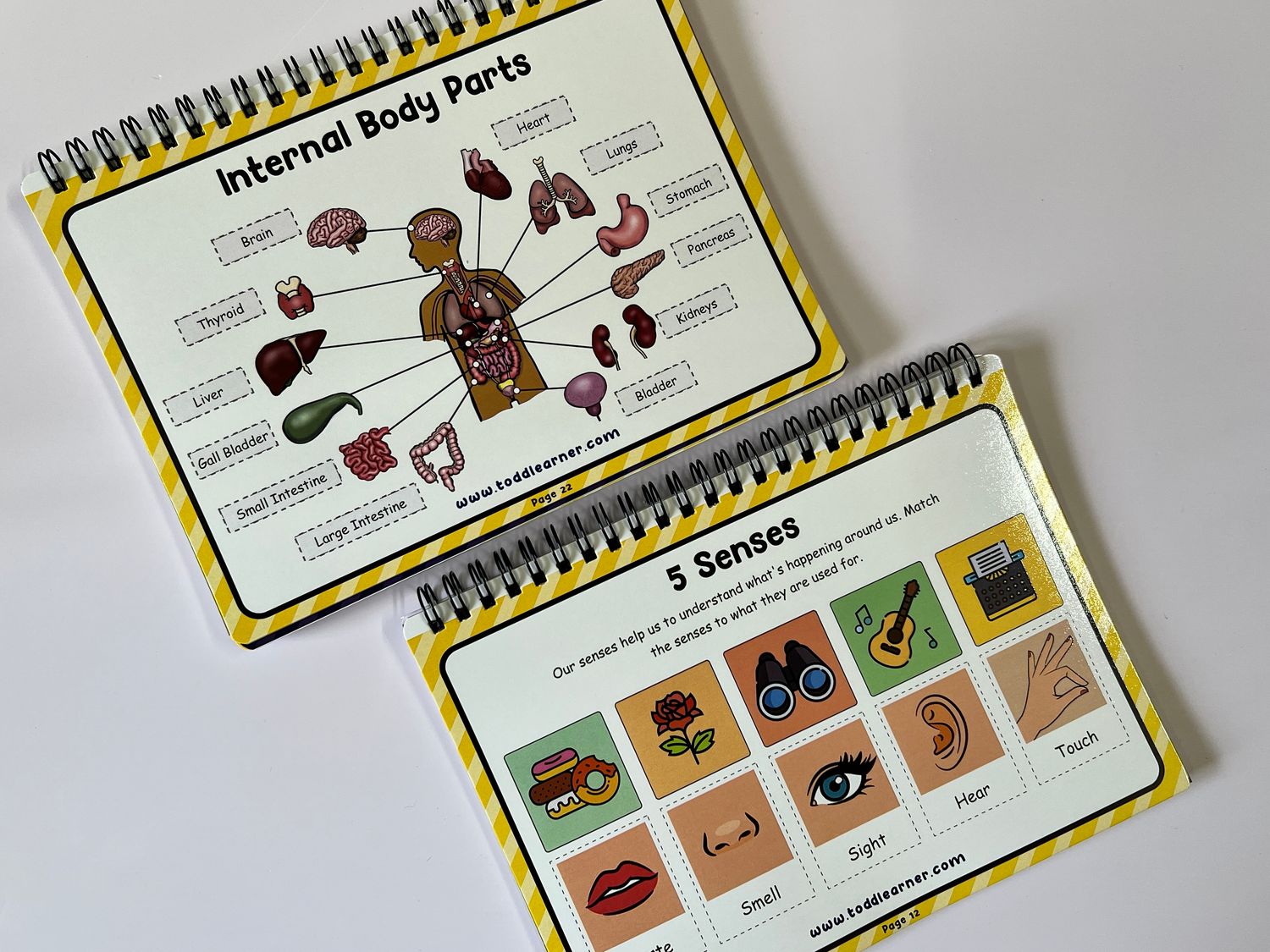 Learning Life Science Part 1 andf Part 2 Bundle for Children