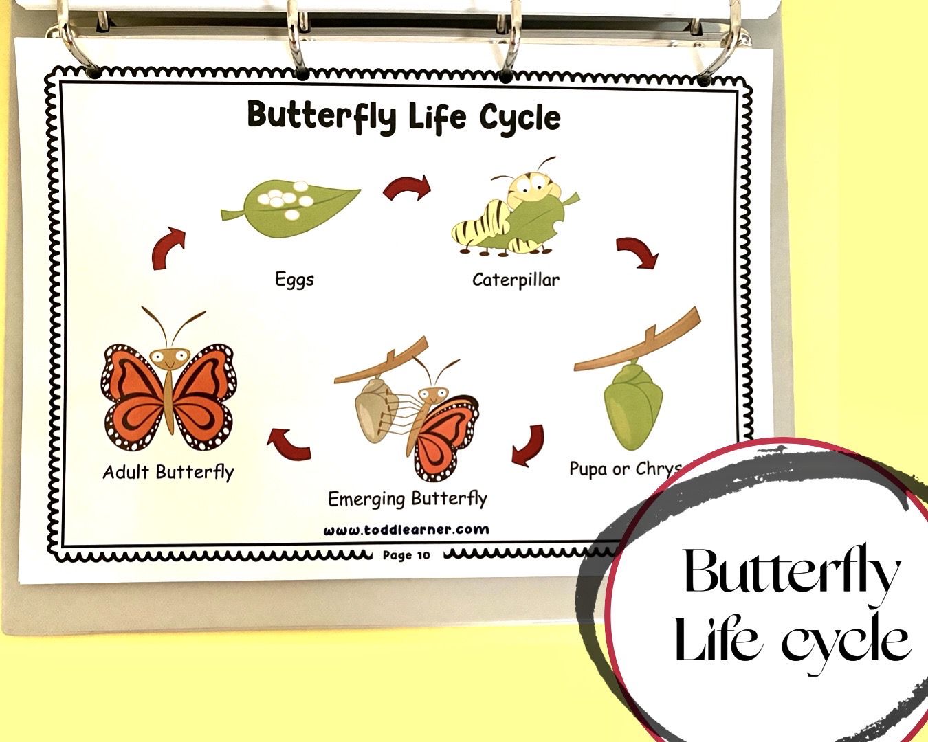 Add on learning Binder (Laminated Version)