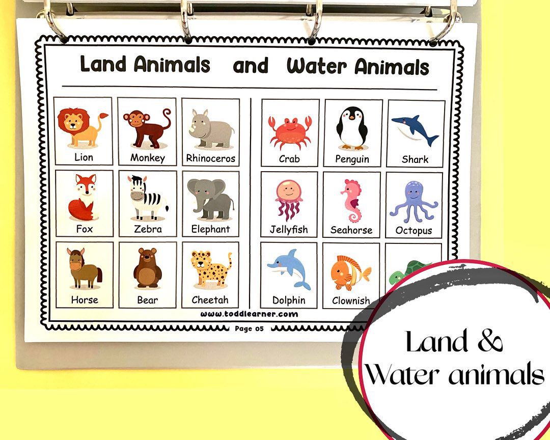 Add on learning Binder (Laminated Version)