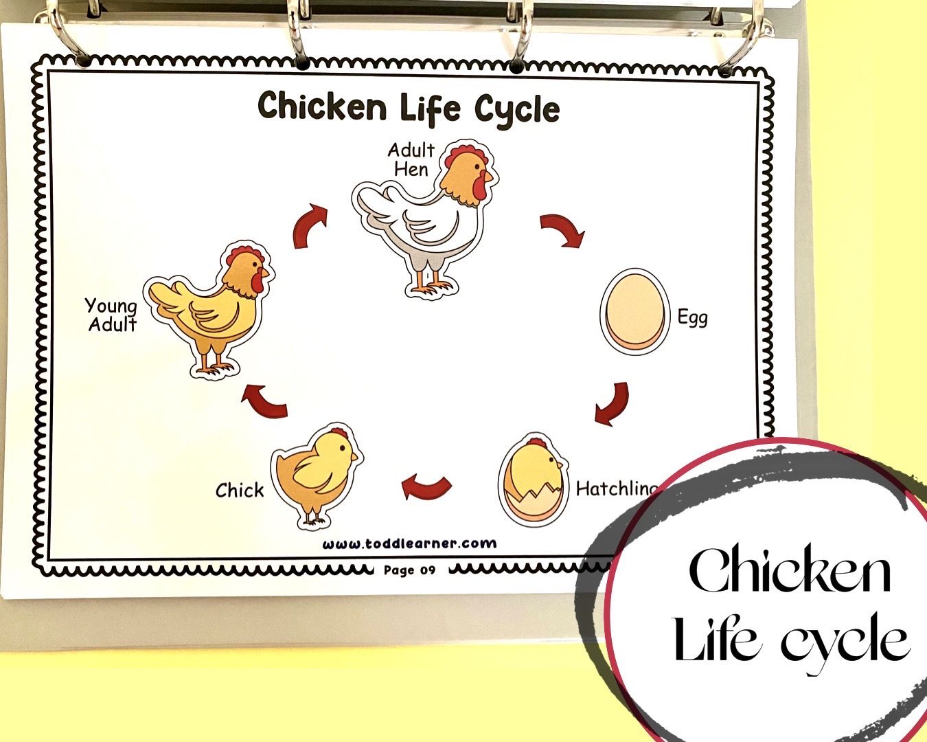 Add on learning Binder (Laminated Version)