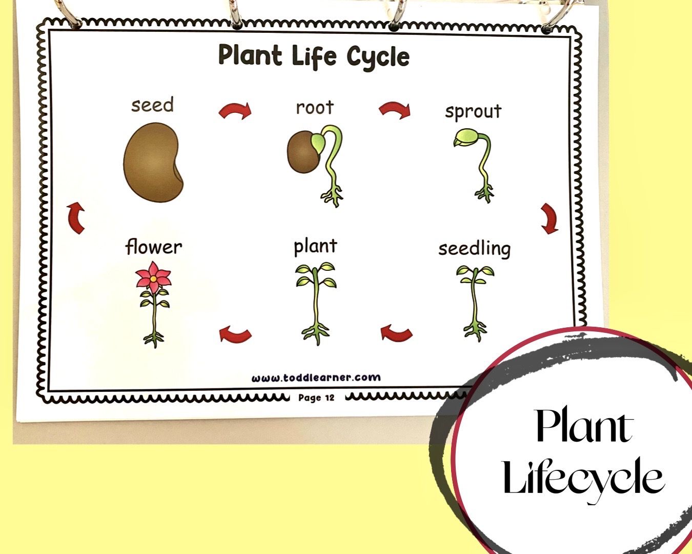Add on learning Binder (Laminated Version)