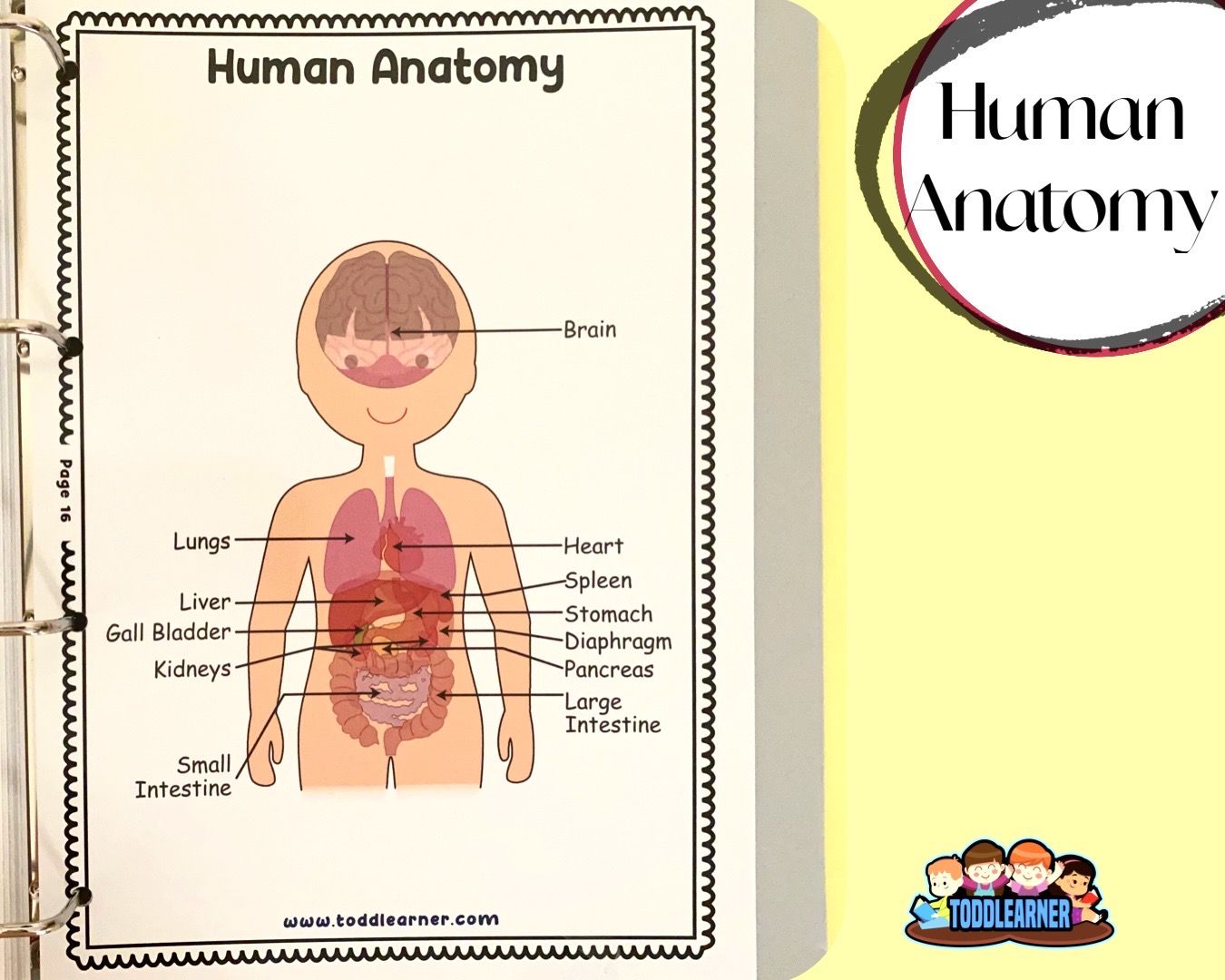 Add on learning Binder (Laminated Version)