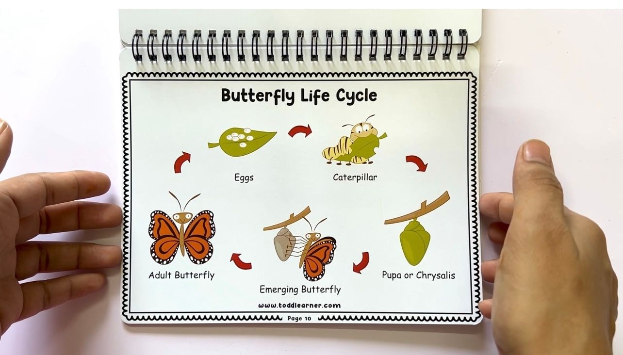 Add on learning Binder (Laminated Version)