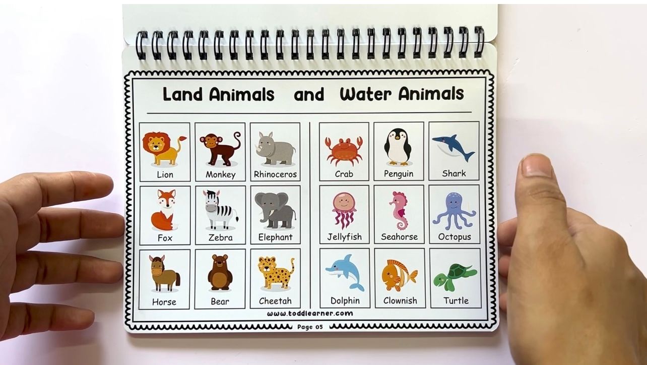 Add on learning Binder (Laminated Version)