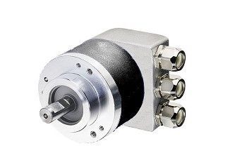 AEN536 - BUS DI CAMPO