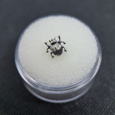 'Beetle Juice' Attachment