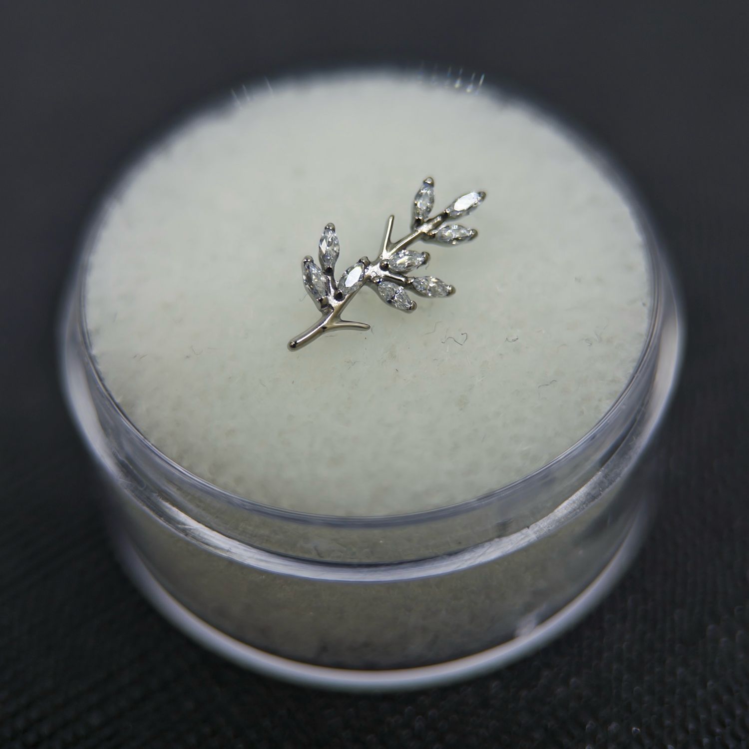 'Ermanii' Attachment