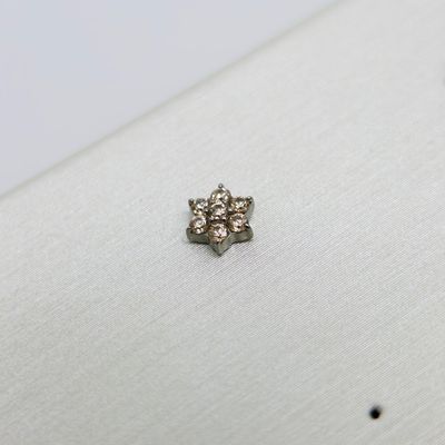 Champagne 6 Petal Flower