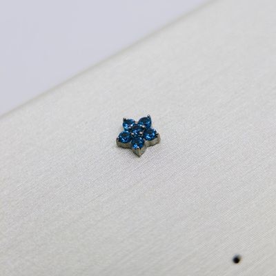 Deep Blue 5 Petal Flower