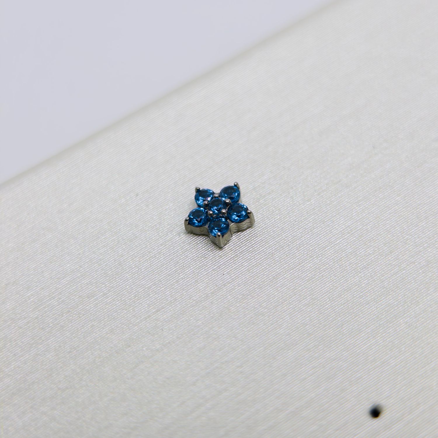 Deep Blue 5 Petal Flower