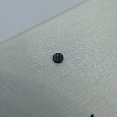 Black Evergreen Disk