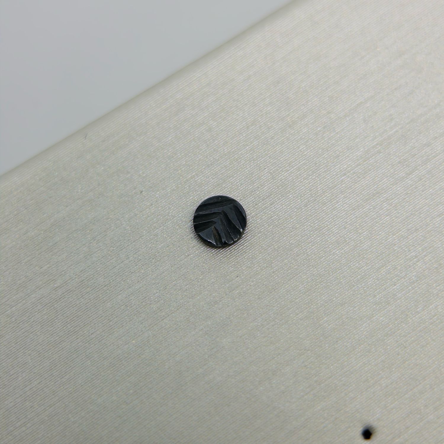 Black Evergreen Disk