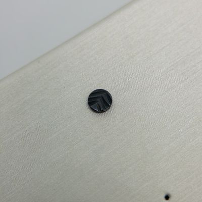 Black Evergreen Disk