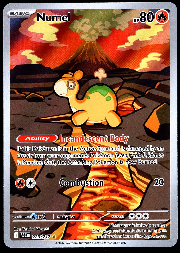 Pokemon Ascended Heroes 2026 - Numel #223