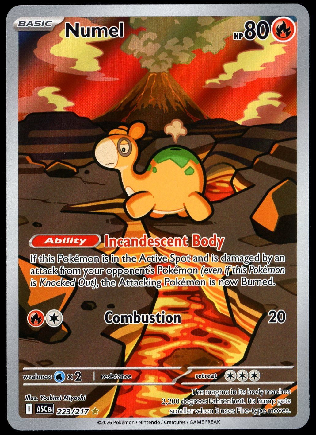 Pokemon Ascended Heroes 2026 - Numel #223